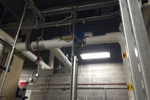 https://archive.highpurity.com/wp-content/uploads/IMG_7138.jpg